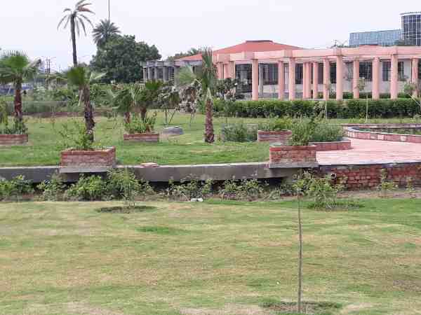 नोएडा के इस पार्क में मौजूद हैं हर बीमारी की रोकथाम के पेड़ पौधे नोएडा के इस पार्क में मौजूद हैं हर बीमारी की रोकथाम के पेड़ पौधे