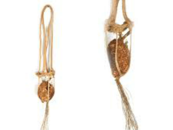 शत्रुओं पर विजय के लिए इसका प्रयोग कीजिए 