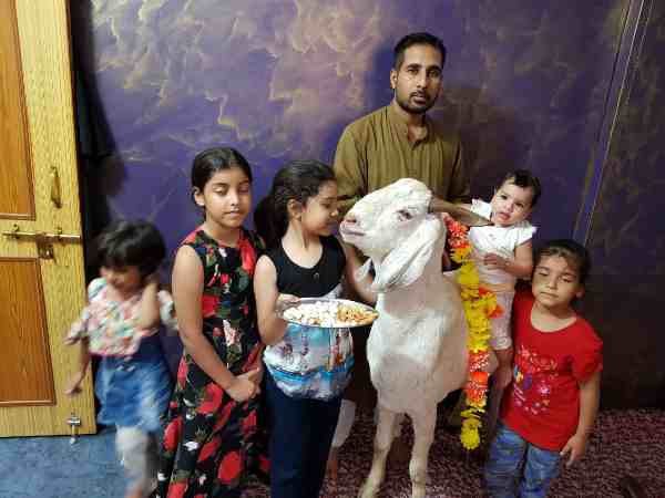 120 किलो का था यह बकरा