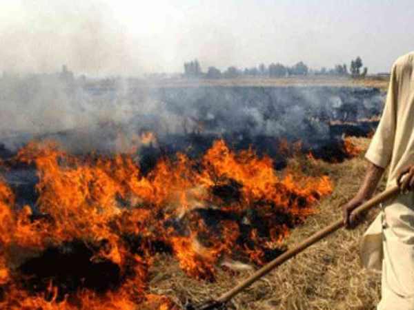 give idea to stop stubble burning then Punjab govt will give you seven crore rupees