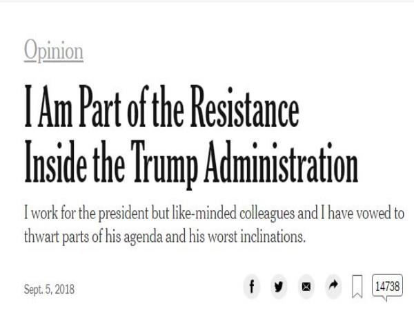 क्या लिखा अनाम लेख में?