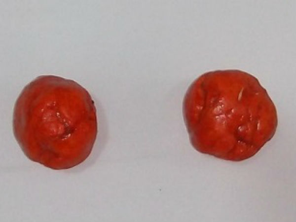 क्या है गोरोचन