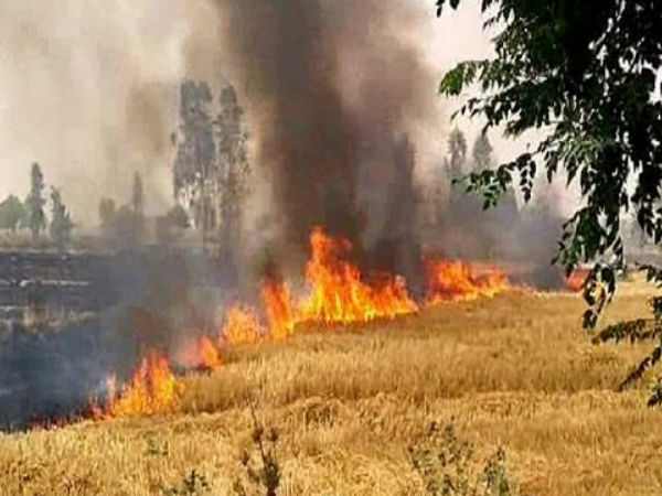 give idea to stop stubble burning then Punjab govt will give you seven crore rupees