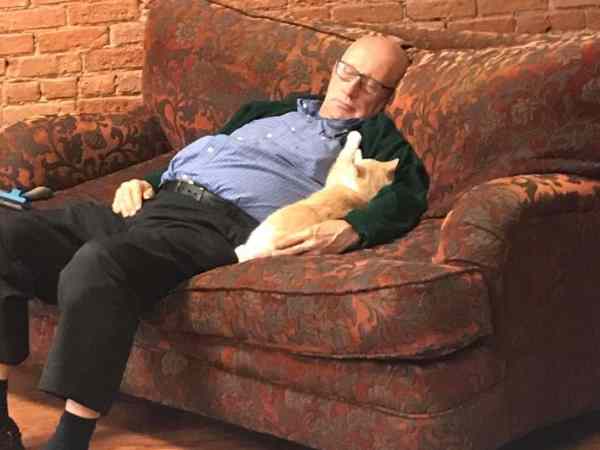 बिल्लियों को ब्रश करना पसंद