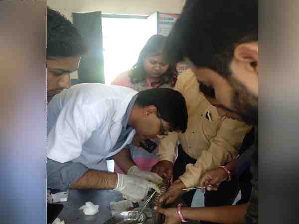  an hour long operation to save injured cobra in ujjain