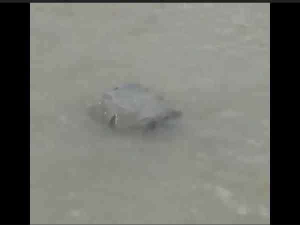 people amaze when they saw ram setu stone floating in river ganga
