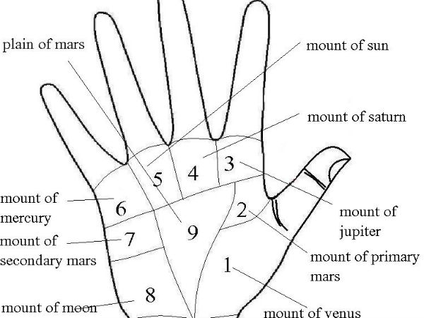 सफल और धनवान बनाता है हथेली में मछली का चिन्ह सफल और धनवान बनाता है हथेली में मछली का चिन्ह