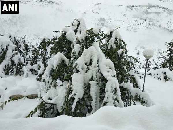 राफ्टिंग पर भी लगी रोक राफ्टिंग पर भी लगी रोक