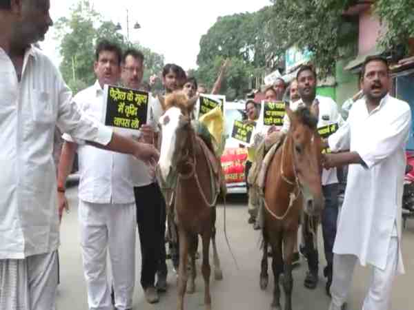 काशीवासियों ने पेट्रोल-डीजल के दामों को लेकर पीएम मोदी का किया विरोध, खच्चर से खिंचवाई कार काशीवासियों ने पेट्रोल-डीजल के दामों को लेकर पीएम मोदी का किया विरोध, खच्चर से खिंचवाई कार