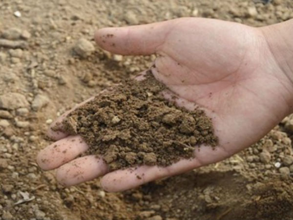 समाधान से किस्मत पलट सकती है समाधान से किस्मत पलट सकती है