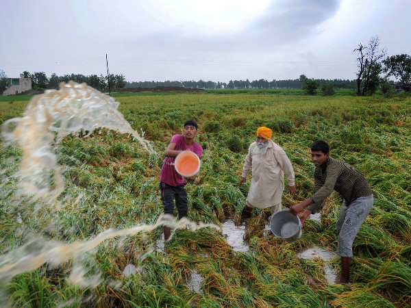 चंडीगढ़ के सुखना झील में पानी खतरे के निशान से ऊपर पहुंची