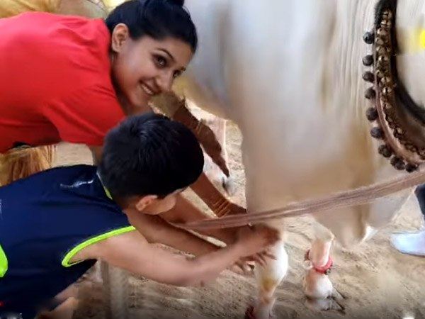 गौशाला में काटा बर्थडे का केक