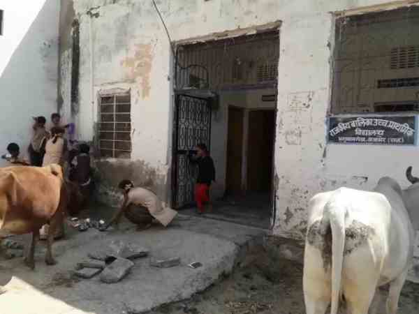 animals used to stray inside the school girls keep stick with them animals used to stray inside the school girls keep stick with them