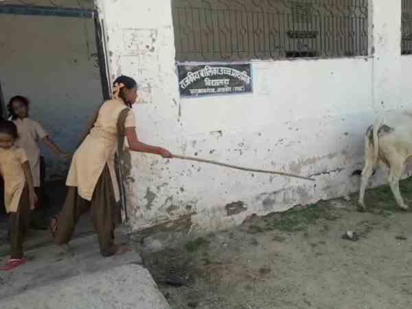 animals used to stray inside the school girls keep stick with them animals used to stray inside the school girls keep stick with them