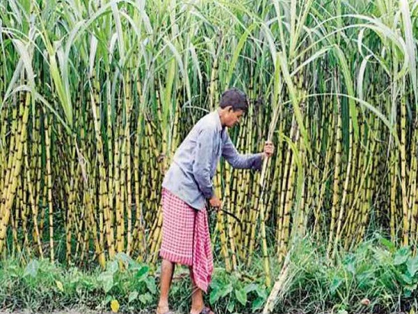 पटना एयरपोर्ट पर बनेगा नया टर्मिनल