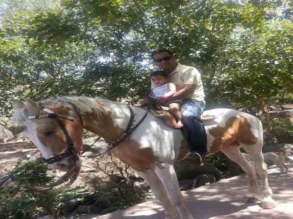 पुलिस पर लगाये गंभीर आरोप 