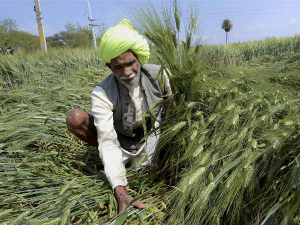 किसानों को 62 हजार 635 करोड़ रुपये का फायदा होगा