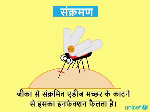 क्या है जीका वायरस 