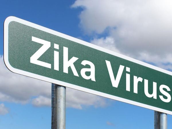 एडिस मच्छर से फैलता है जीका वायरस