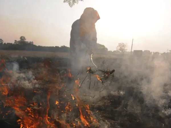 क्या है वजह