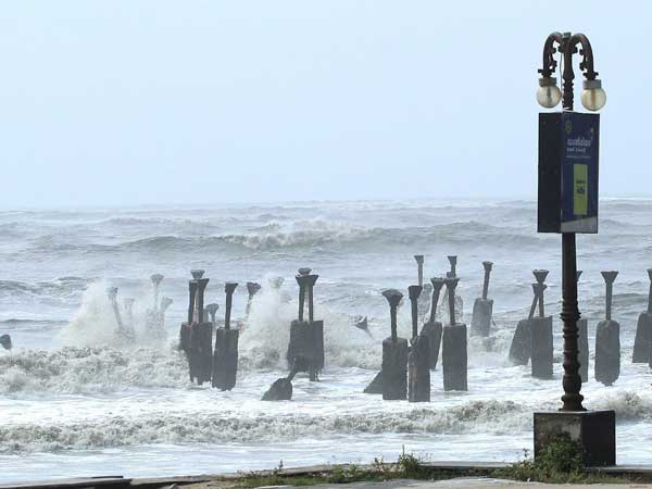  कौन तय करता है नाम? 
