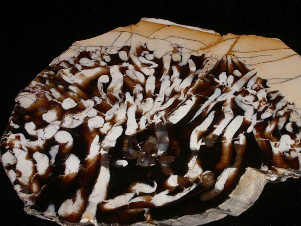 इनमें रासायनिक प्रक्रिया चलती रहती है