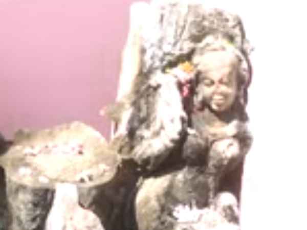 क्या कहते हैं मंदिर के पुजारी?