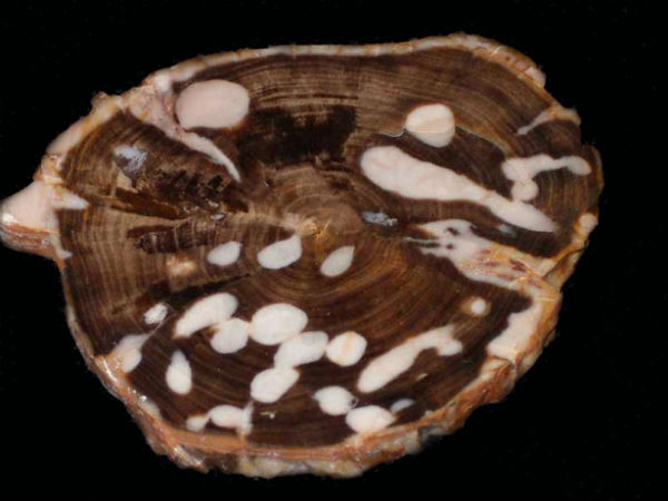  क्या है लाभ