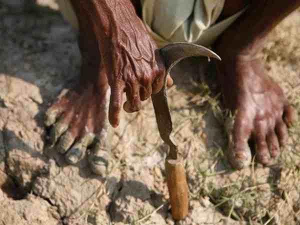 सूखे से हारा किसान
