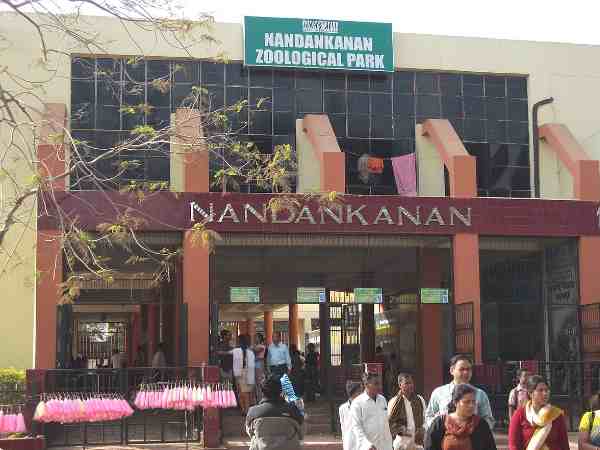 शिकायत करने पर मिलती है परीक्षा में नंबर कम देने की धमकी