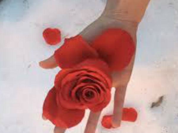 3 गुलाब और 3 बेला 3 गुलाब और 3 बेला