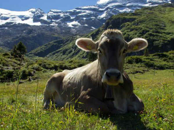 किसानों को दी जाए सब्सिडी 