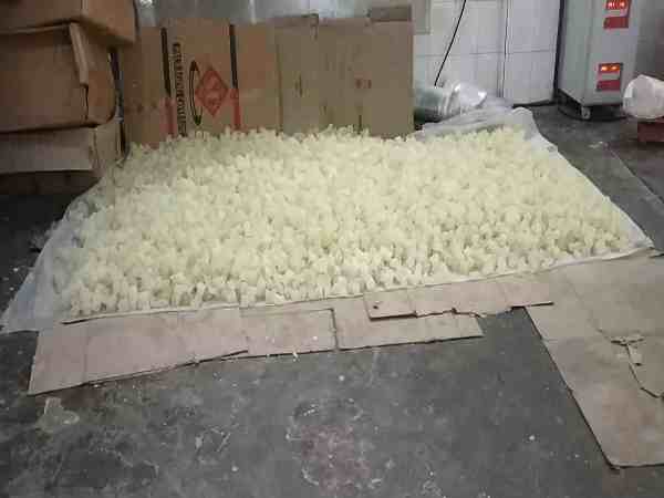 यूपी: आगरा के मशहूर पंक्षी पेठे के कारखाने पर प्रशासन ने मारा छापा, नजारा देख दंग रह गए अधिकारी