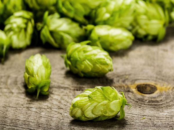 क्यों खास है हॉप शूटर्स क्यों खास है हॉप शूटर्स