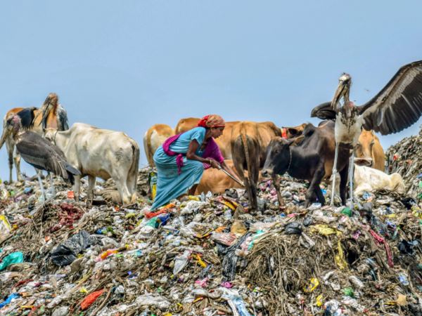 व्यक्ति की औसत आयु 1.5 साल हुई कम