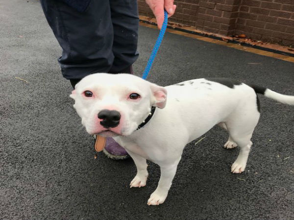 पिघल गया लोगों को दिल