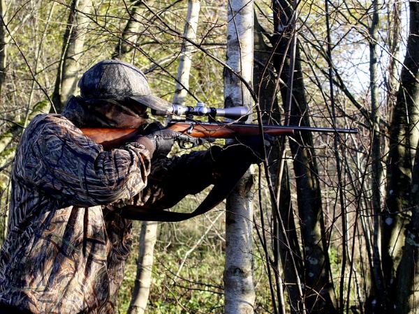 मगरमच्छ ने नहीं, बेस्ट फ्रेंड ने की थी माइक की हत्या