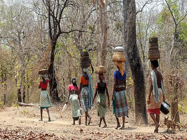 आदिवासी अब लौट सकते हैं छत्तीसगढ़