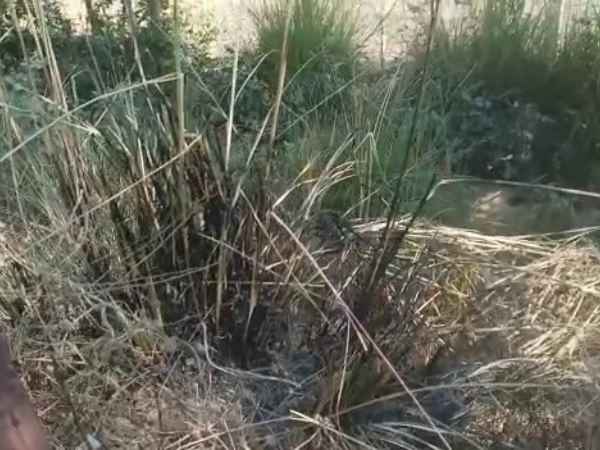 लोगों ने कराया था अस्पताल में भर्ती