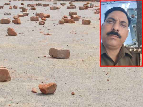 गाय और बुलंदशहर हिंसा