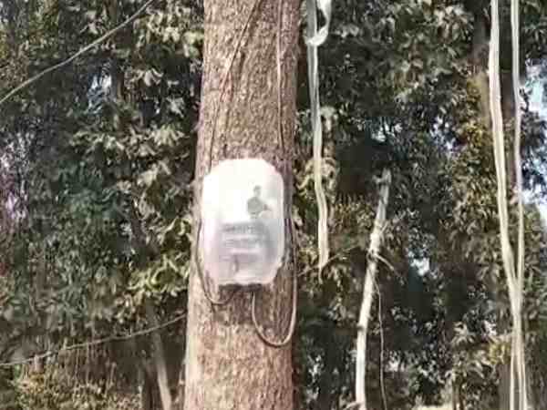 यूपी में बिजली विभाग का अजीबोगरीब कारनामा, झोपड़ी में रह रही महिला को दिया कनेक्शन, मीटर पेड़ पर लटकाया यूपी में बिजली विभाग का अजीबोगरीब कारनामा, झोपड़ी में रह रही महिला को दिया कनेक्शन, मीटर पेड़ पर लटकाया