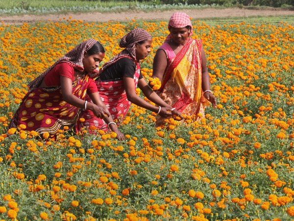 इन सेक्टर में राहत दे सकती है सरकार 