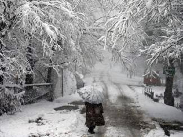 दो जनवरी तक होगी बारिश? दो जनवरी तक होगी बारिश?