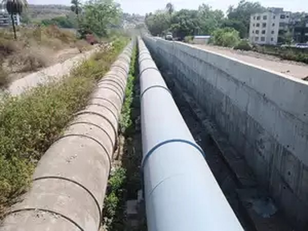 water quality, maharashtra, Pollution, Cancer, Ujani dam, Water, solapur , महाराष्ट्र, उजनी बांध, पानी, कैंसर