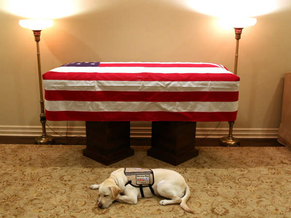 सुले भी आया वॉशिंगटन 