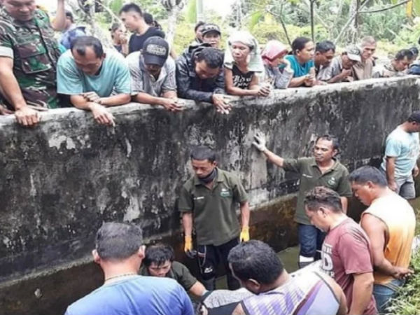 मगरमच्छ की शिकार बनी महिला साइंटिस्ट 