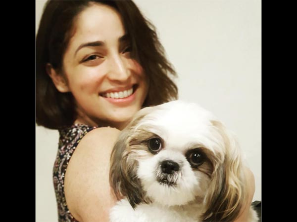 यामी के नाम कई हिट फिल्में