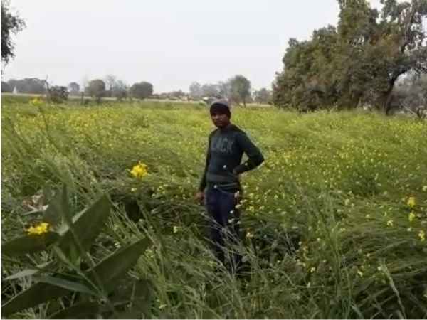 'मरा समझकर शिशु को छोड़ा'