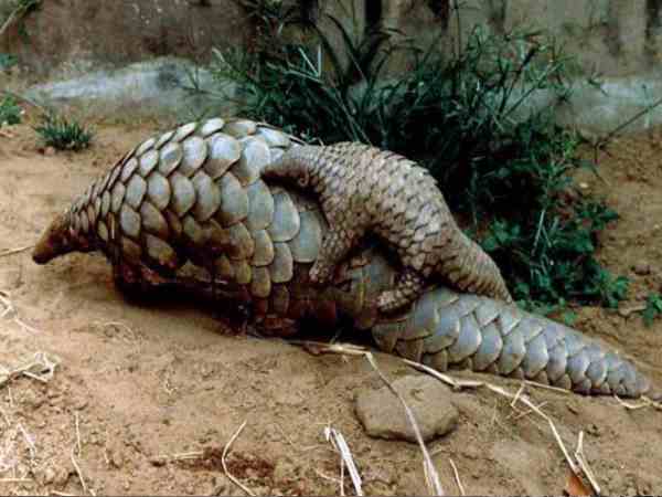 खबरी से मिली सूचना