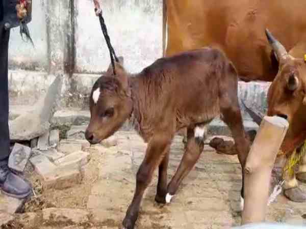 पंडित को बुलाकर तय की जन्मोत्सव की तारीख